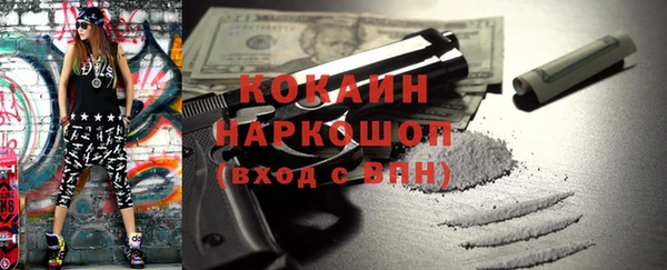 дмт Богородицк