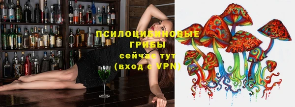 дмт Богородицк