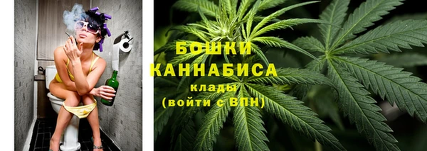 спиды Бородино