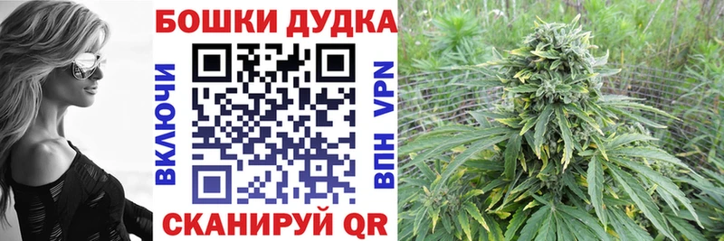 Каннабис SATIVA & INDICA цена KRAKEN зеркало Новопавловск